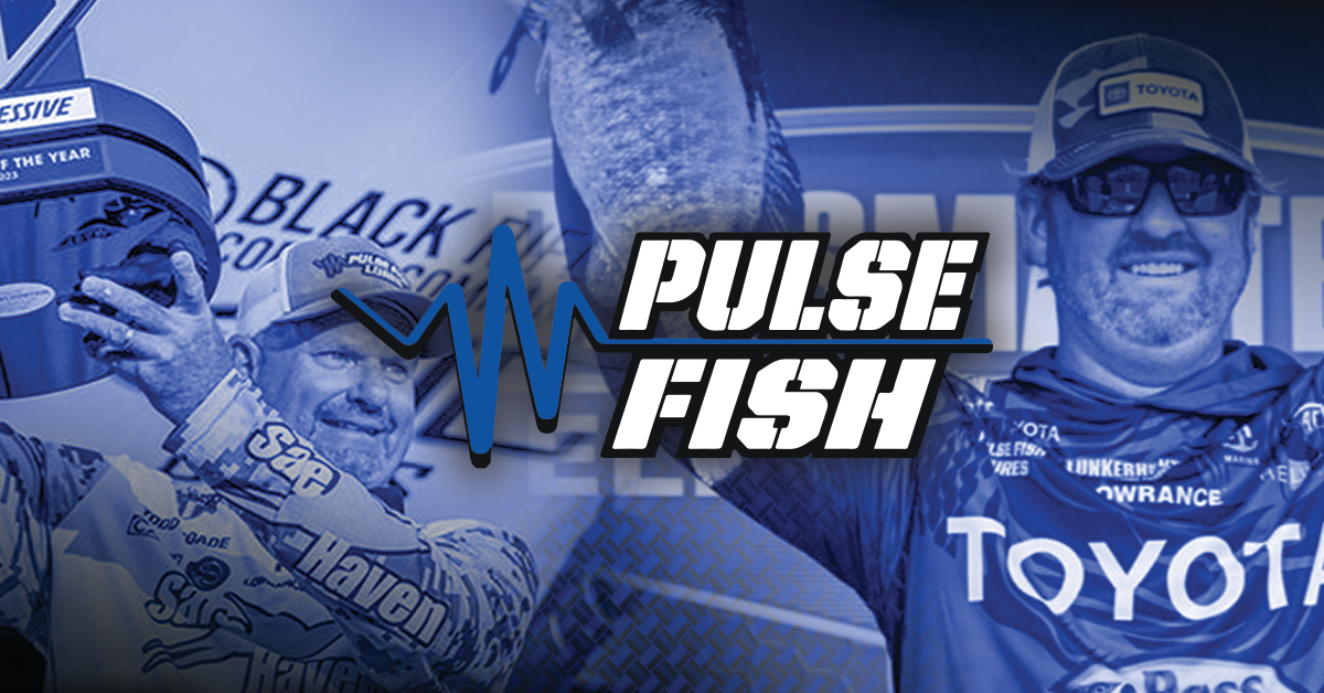 Pusle Fish Pulse Fish | Feel The Pulse