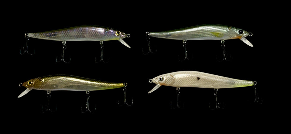 Pusle Fish Pulse Fish | Feel The Pulse