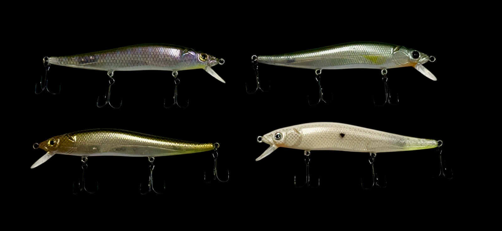 Pulse Fish | Feel The Pulse